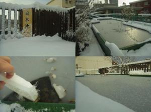 日本池にも積雪が