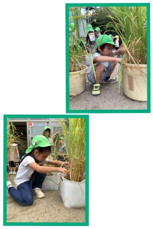 ������(���л����饹)�����ƤŤ�����̤���&hellip;��