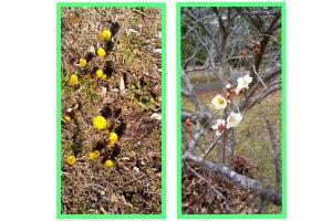 2026ǯ��������ݥå���ο����դ�ޤ��������